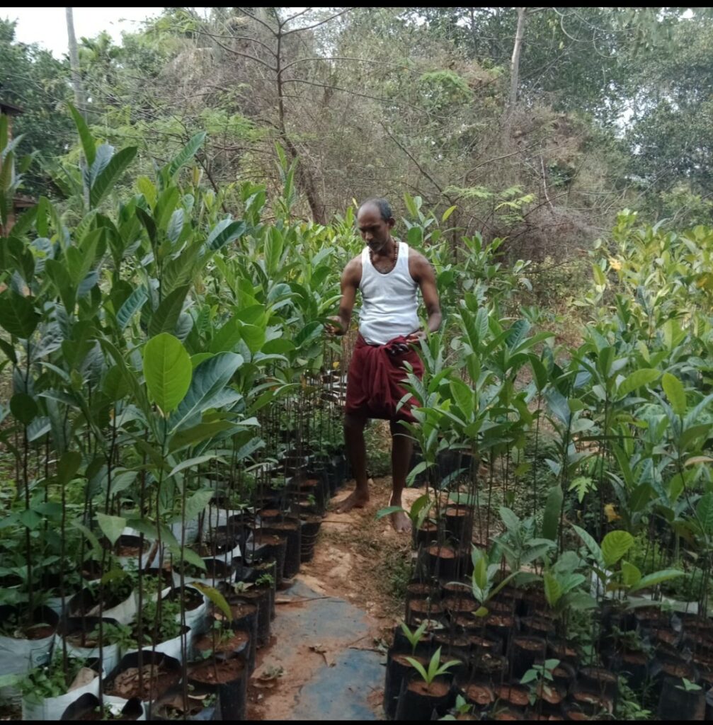 പ്‌ളാവ് ജയൻ: പ്രവാസത്തില്‍ നിന്നും പ്‌ളാവിലൊട്ടിയ ജീവിതം 27